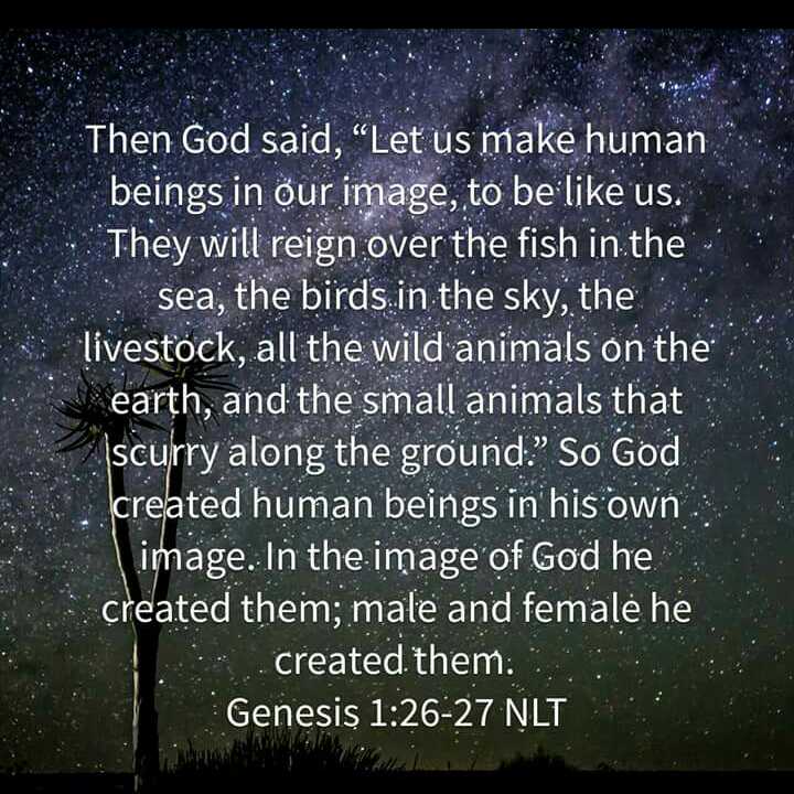Oct 19, 2016 07:41 you are made in God's image