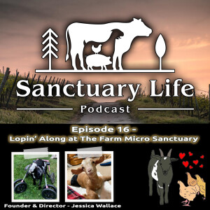 Episode 16 - Lopin’ Along the Farm Micro Sanctuary