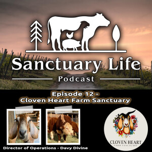 Episode 12 - Cloven Heart Farm Sanctuary
