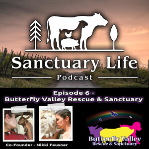 Episode 6 - Butterfly Valley Rescue & Sanctuary