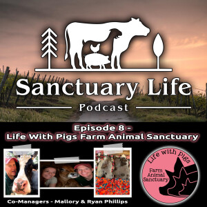 Episode 8 - Life With Pigs Farm Animal Sanctuary