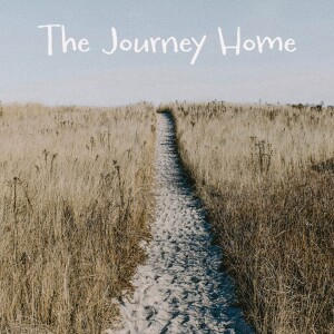 The Journey Home Part 10: Do you want to be healed?