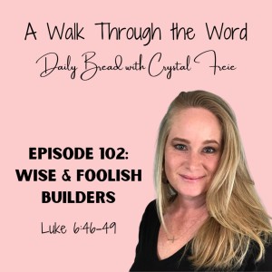 Episode 102: Wise & Foolish Builders