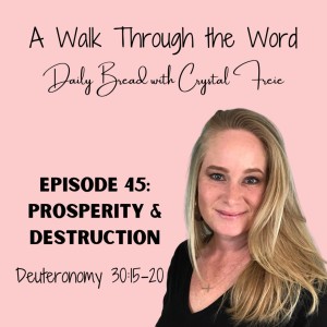 Episode 45: Prosperity & Destruction