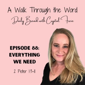 Episode 88: Everything We Need