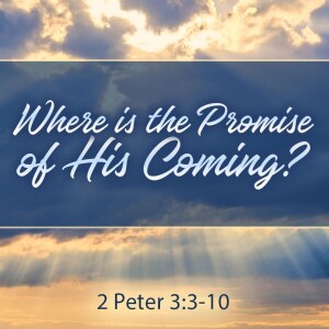 2023-10-29 AM Where Is the Promise of His Coming?