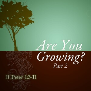 2023-09-17 AM Are You Growing? Part II