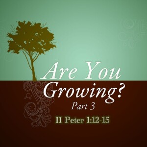 2023-09-24 AM Are We Growing?