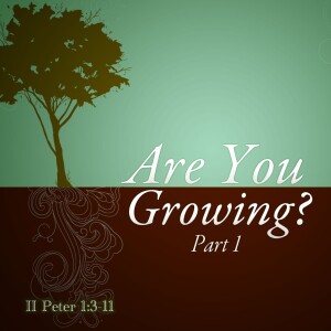 2023-09-03 AM Are You Growing, Part I