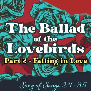 2024-01-28 AM The Ballad of the Lovebirds, Part II - Falling in Love