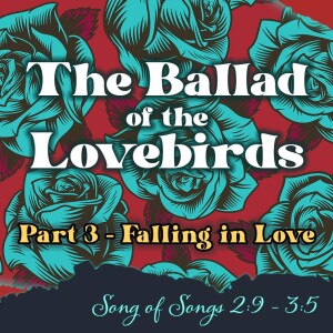 2024-02-04 AM The Ballad of the Lovebirds, Part III - Falling in Love