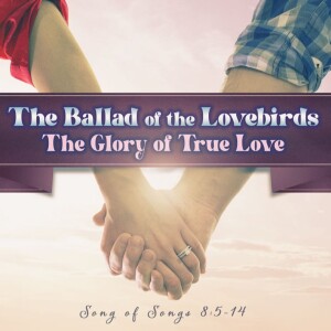 2024-03-17 AM The Glory of True Love - Its Qualities
