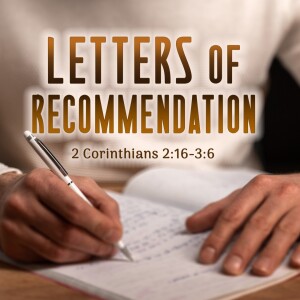 2024-06-02 AM Letters of Recommendation