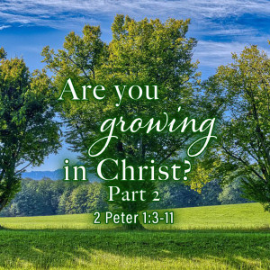 2022-09-11 AM - Are You Growing in Christ? Part 2