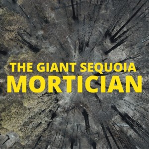 The Giant Sequoia Mortician