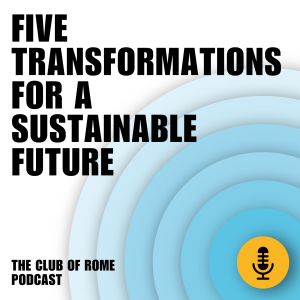 Hunter Lovins - Five tranformations for a sustainable future - Earth4All Series