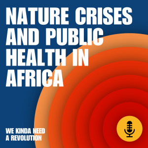 Climate crises and public health in Africa with Saad Uakkas and Nolita Mvunelo