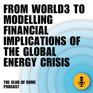 Roberto Pasqualino - From World3 to modelling financial implications of global energy crisis