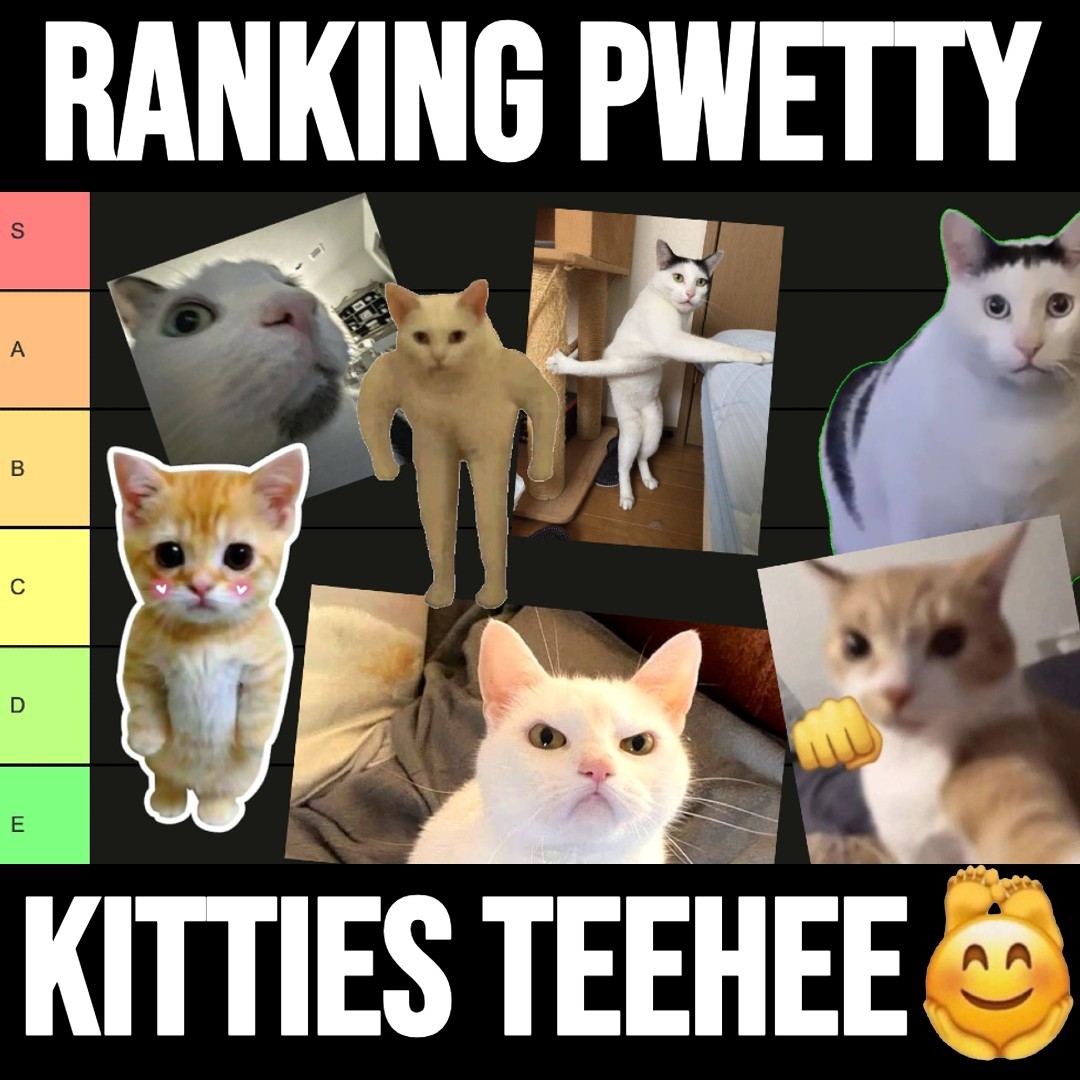 Ranking Very Pwetty Kitties (*＞ω＜*)♡