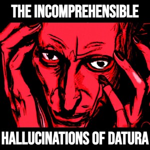 The Incomprehensible Hallucinations of Datura