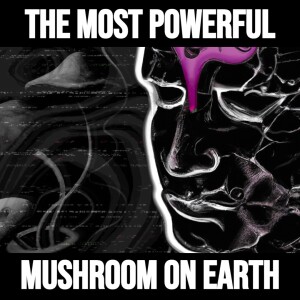 The Most Powerful Mushroom On Earth