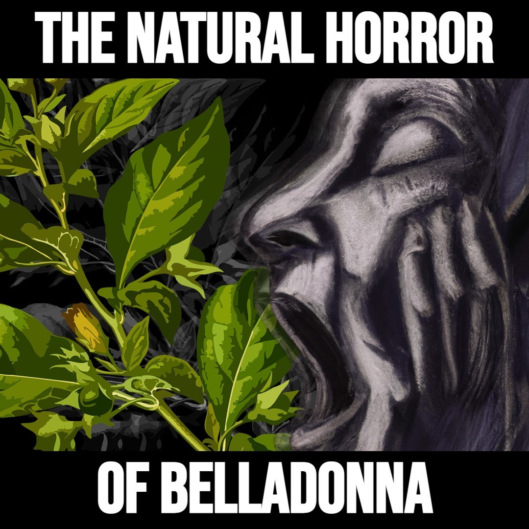 The Natural Horror of Belladonna