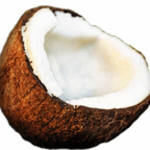 YOULL NEVER LOOK AT COCONUTS THE SAME
