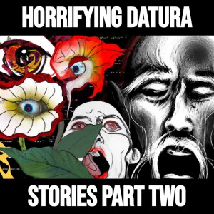 The Most Horrifying Datura Stories On The Internet | FINAL PART