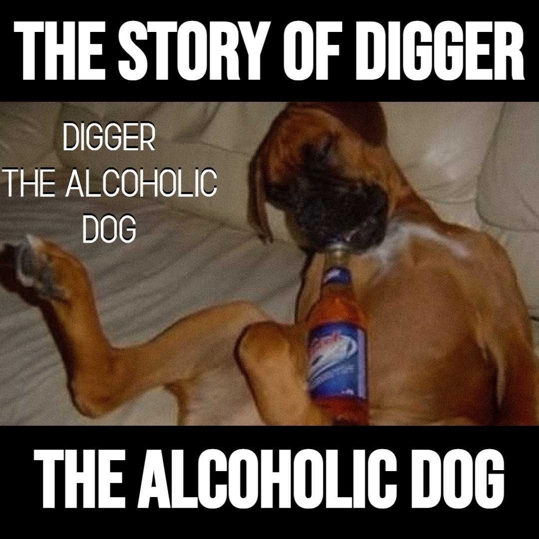 The Tragic Story of Digger The Alcoholic Dog