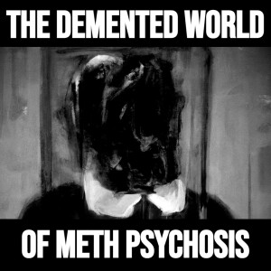 The Demented World of Meth Psychosis