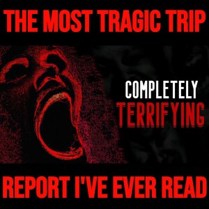 The Most Tragic Trip Report I've Ever Read