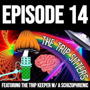 The Trip Sitters Podcast: Episode 14 Interview With a Schizophrenic