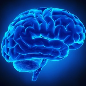 MIRACOLO della scienza -l’ultima scoperta riguardo il cervello
