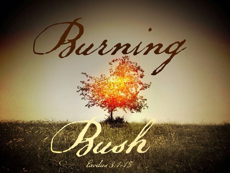 2-19-17 Encountering the fire of God