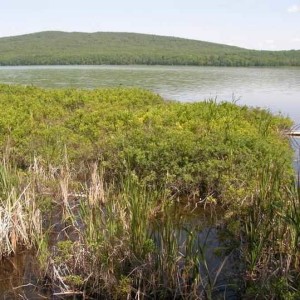 50 UP Hikes: Fumee Lake Loop