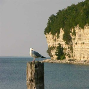 50 UP Hikes: Overlook Trail @ Fayette State Park