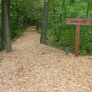 50 UP Hikes: Hennes Park Shakespeare Trail