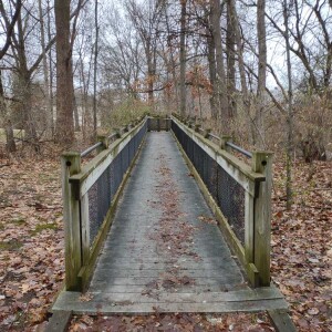 Michigan Trails Report Dec 12, 2022