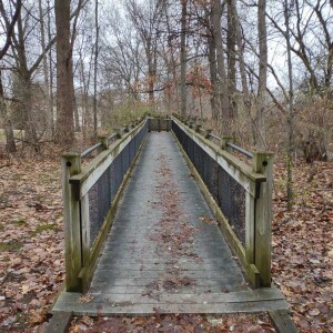 Michigan Trails Report Jan 3, 2023