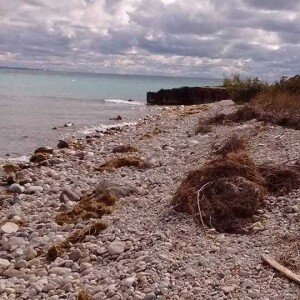 Michigan Trails Report Jan 7, 2023