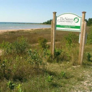 50 UP Hikes #28 - Red/gold/blue trails- Gerstacker Preserve