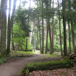50 UP Hikes: #38 Maywood History Trail