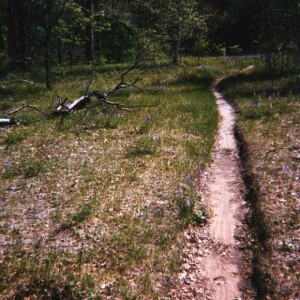 Michigan Trails Report: Backpackable Loops!