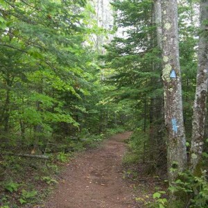 50 NCT Hikes: #48 Mackinac Wilderness