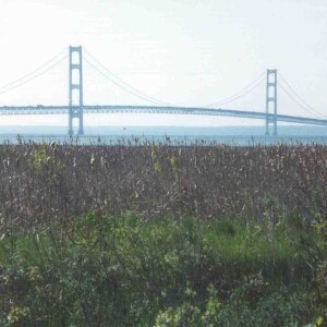 Hiking the NCT in the LP: Mackinac Bridge to Wilderness State Park