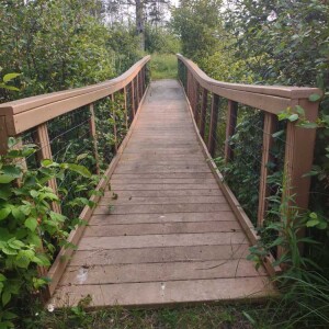 Michigan Trails Report- Memorial Day 2025