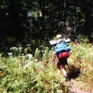 50 Hikes on the NCT #7: Boardman River Headwaters