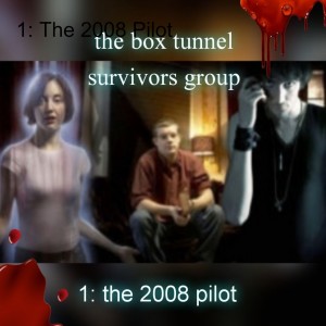 1: the 2008 pilot