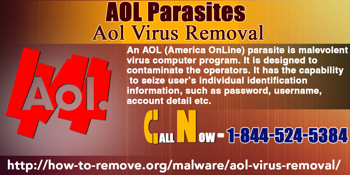 AOL PARASITES