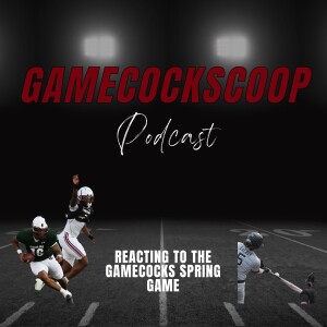 Reacting To The Gamecocks’ Spring Game